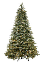 Load image into Gallery viewer, 7.5ft Noble Christmas Tree with Lights
